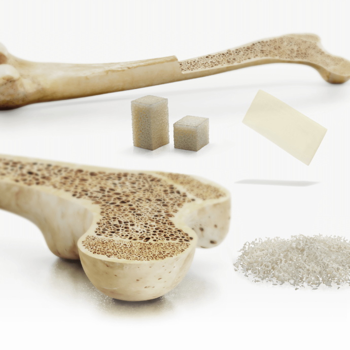 [Translate to Deutsch:] 