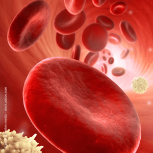 [Translate to Deutsch:] 