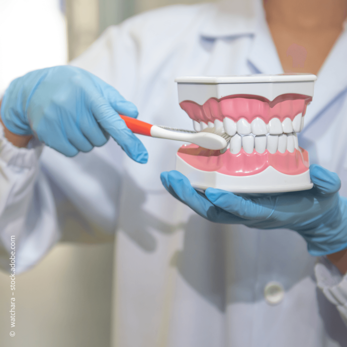 [Translate to Deutsch:] 