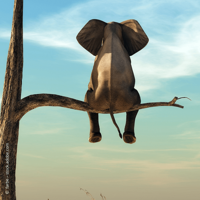 [Translate to Deutsch:] 