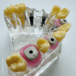 [Translate to Deutsch:] 