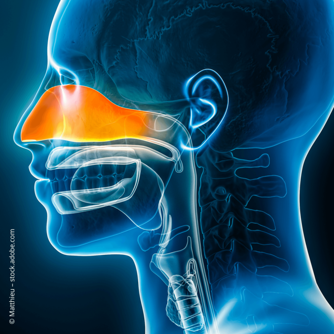 [Translate to Deutsch:] 