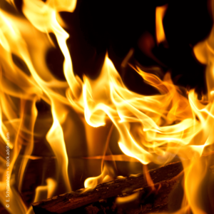 [Translate to Deutsch:] 