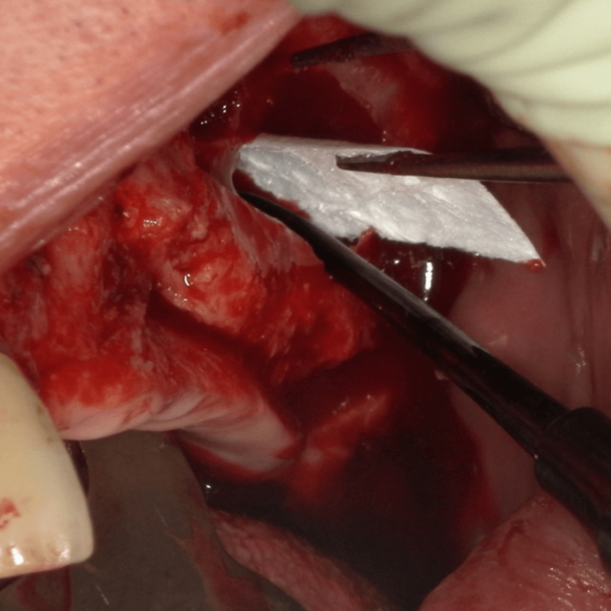 [Translate to Deutsch:] 