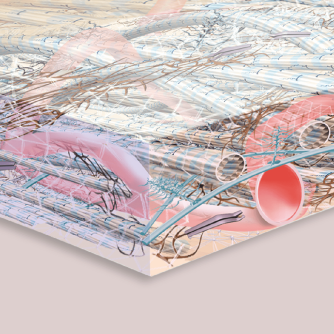 [Translate to Deutsch:] 