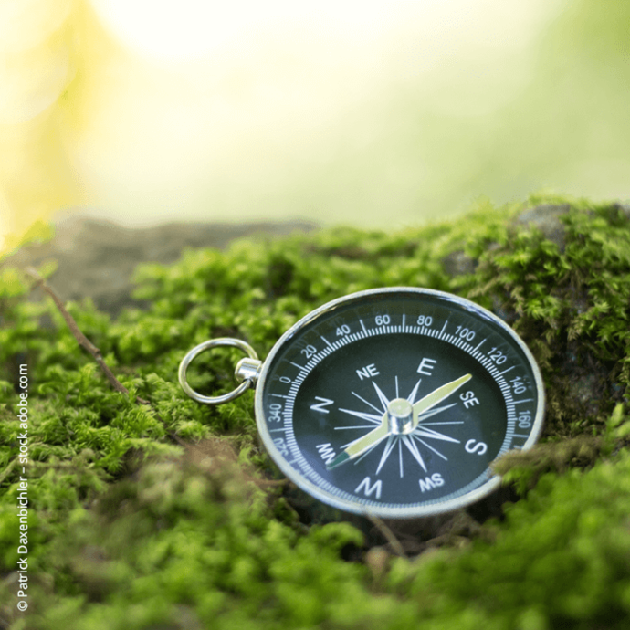 [Translate to Deutsch:] 