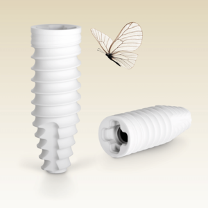 [Translate to Deutsch:] 