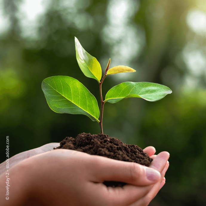 [Translate to Deutsch:] 